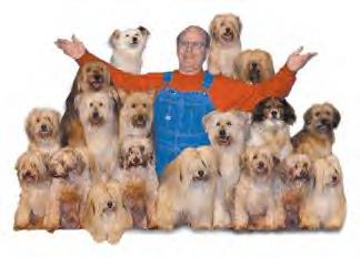 Dog Show photo