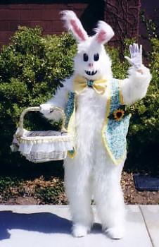 Ivonne as bunny
