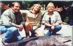 alligator