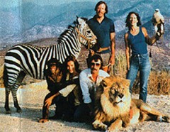 animals_02
