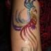 bird