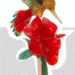 bird[1]