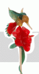 bird[1]