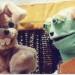 hare_and_turtle