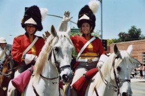 horses_wr