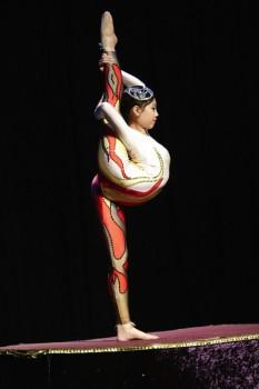 Asian Contortion 110